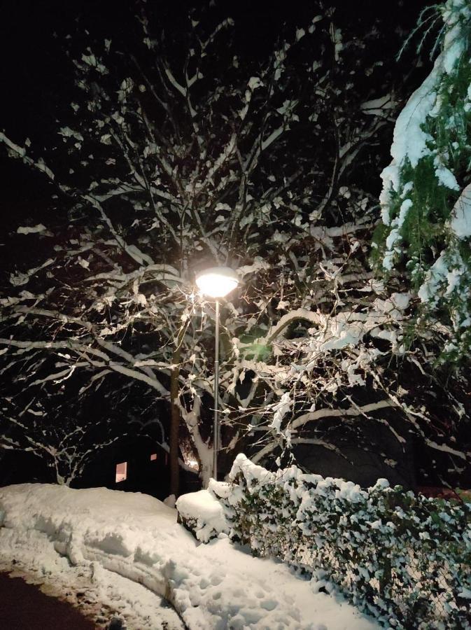 La Terrasse 226 Leilighet Malmedy Eksteriør bilde