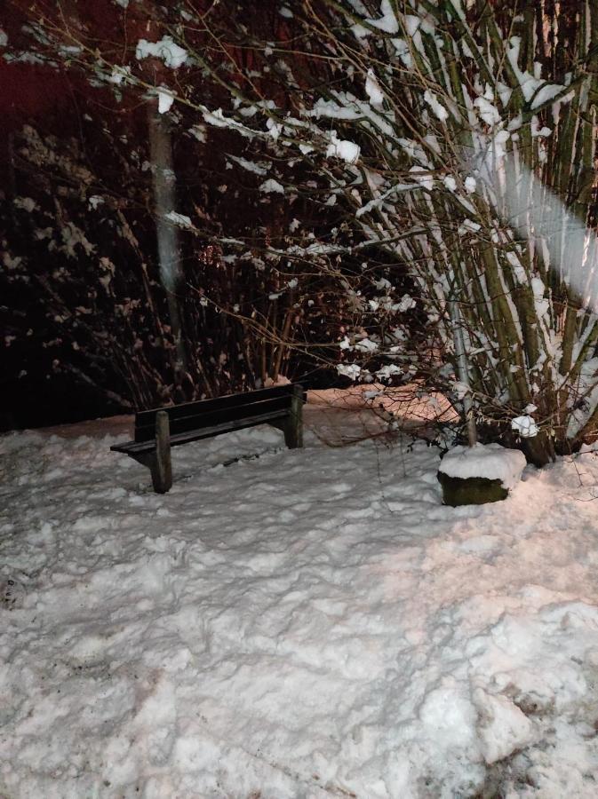 La Terrasse 226 Leilighet Malmedy Eksteriør bilde